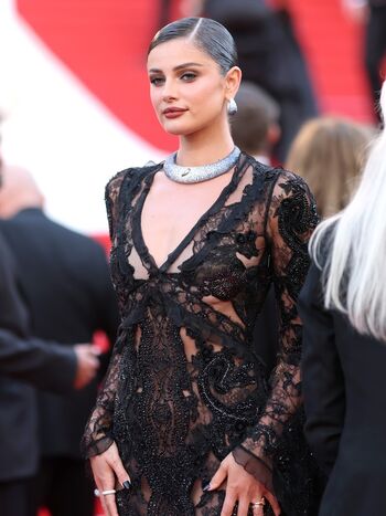 Taylor hill image