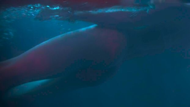 Taylor momsen 1 image