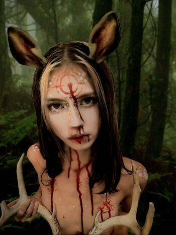 Teddybearboned image