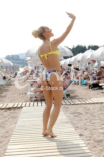 Teodora dzehverovic image