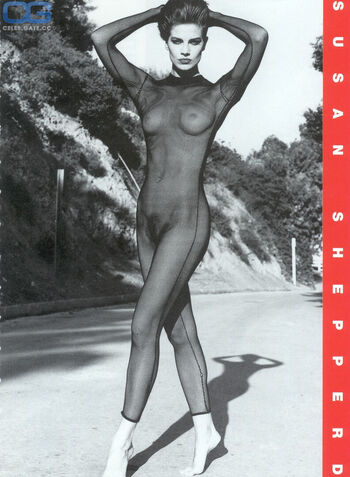 Terry farrell page 2 image