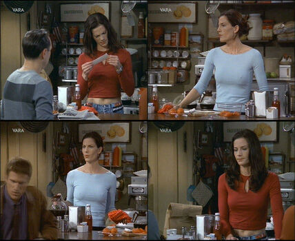 Terry farrell image