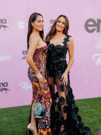 The Bella Twins