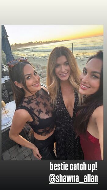 The Bella Twins