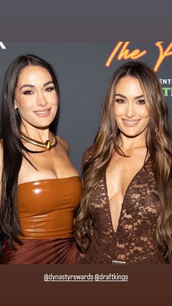 The bella twins page 2 image