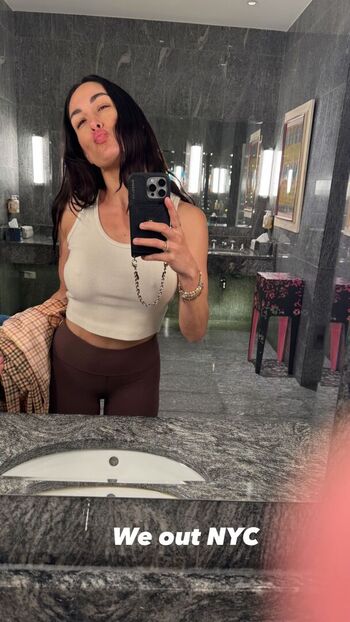 The bella twins page 2 image