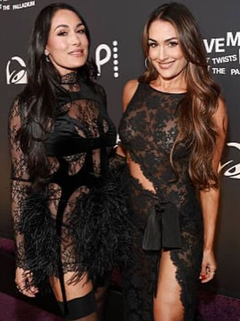 The bella twins image