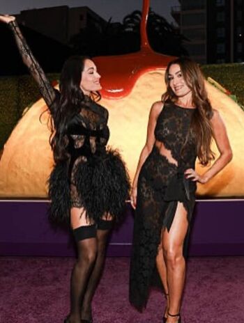 The bella twins image