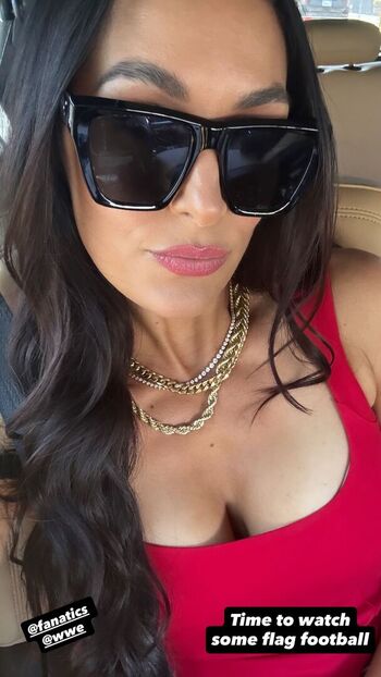 The bella twins image