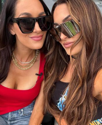 The bella twins image