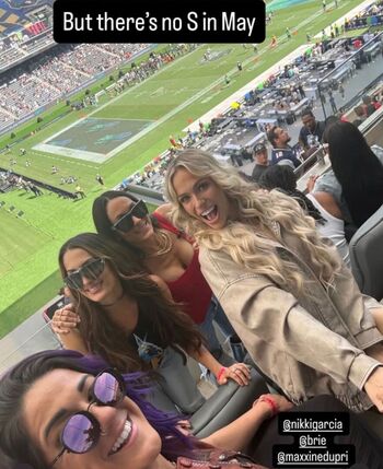 The bella twins image