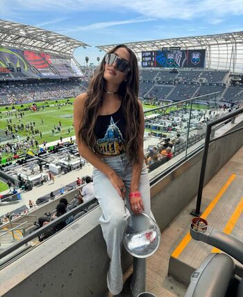 The bella twins image