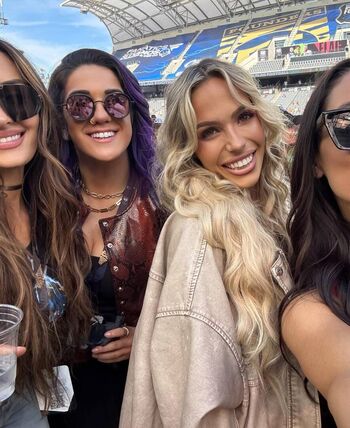 The bella twins image