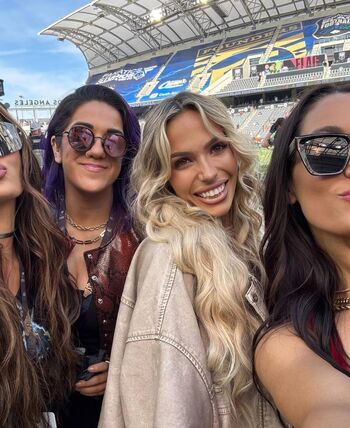 The bella twins image