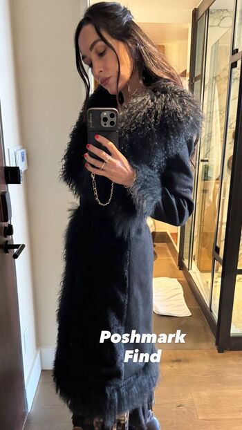 The bella twins image