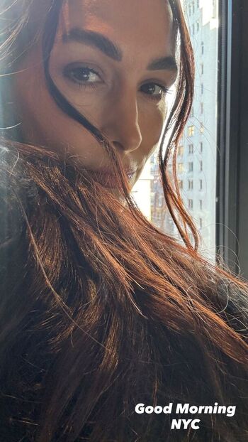 The bella twins image