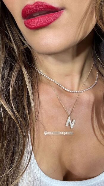 The bella twins image