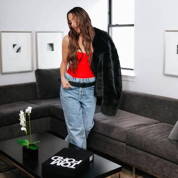 The bella twins image