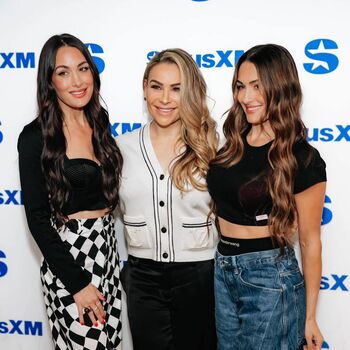 The bella twins image