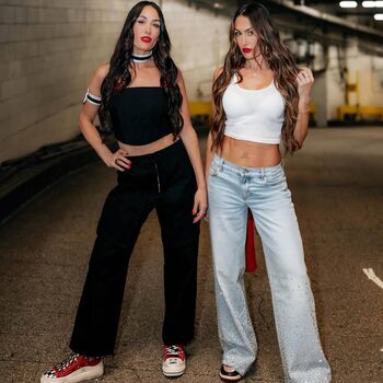 The bella twins image