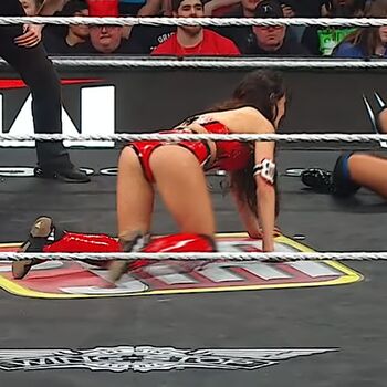 The bella twins page 3 image