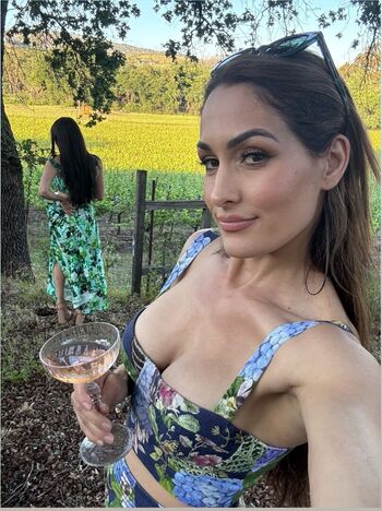 The bella twins page 2 image