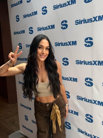 The bella twins page 2 image