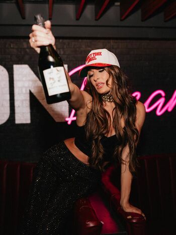 The bella twins image