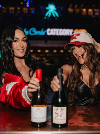 The bella twins image