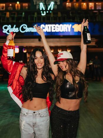The bella twins image