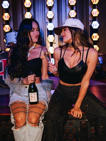 The bella twins image