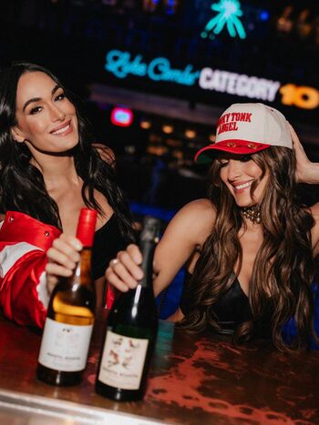 The bella twins image