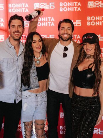 The bella twins image