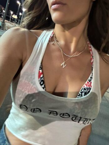 The bella twins image