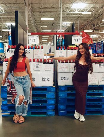 The bella twins image