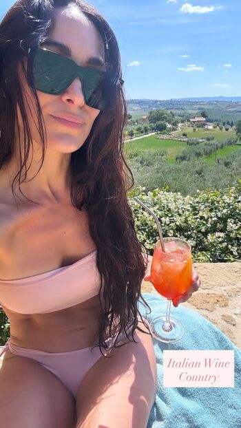 The bella twins image