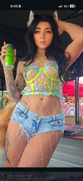 The foxy detailer image