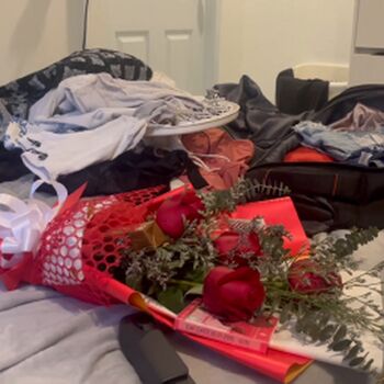 The holistic trainer image