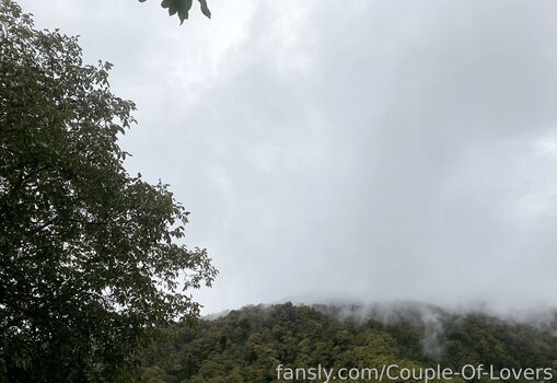 The pegging index image