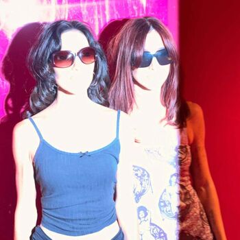 The veronicas image