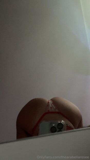 thearabellarosee