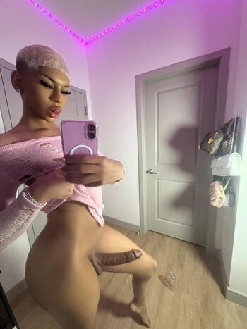 Thebarbiebrazy image