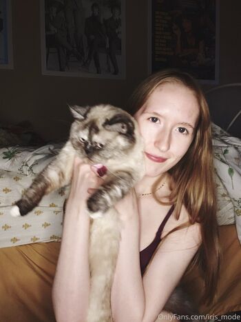 Thebunnyiris image
