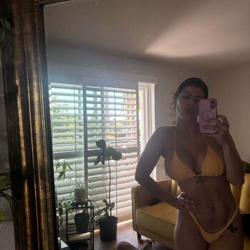 Thefitkitty image