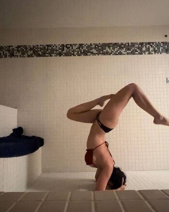 Thefitkitty image