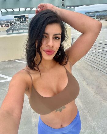 Thefitkitty image