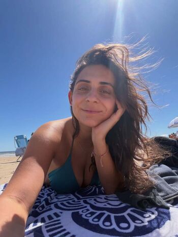 Theitalianlizard page 2 image