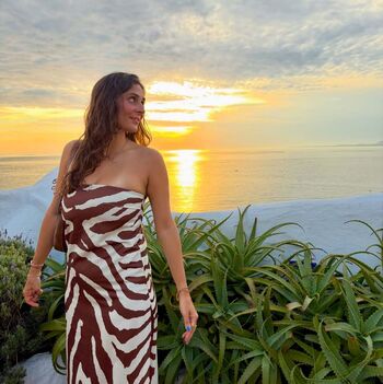 Theitalianlizard image