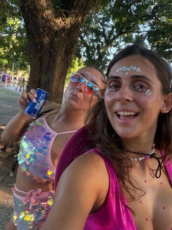 Theitalianlizard image