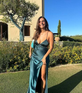 Theitalianlizard image